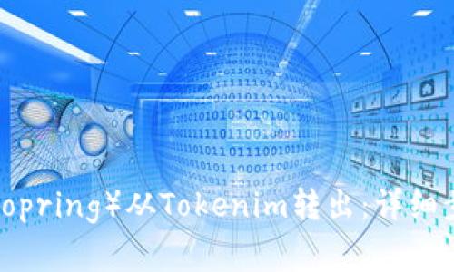 如何将路印协议（Loopring）从Tokenim转出：详细步骤与常见问题解析