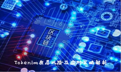 Tokenim截屏风险及应对策略解析