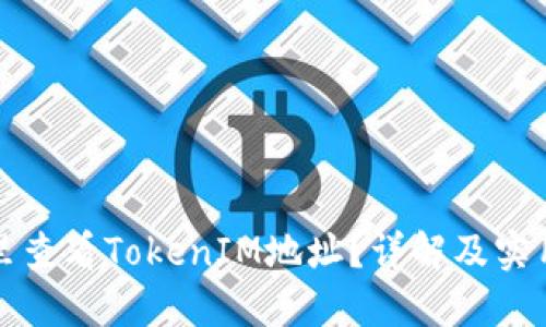 在哪里查看TokenIM地址？详解及实用指南