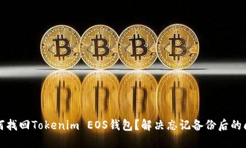 如何找回Tokenim EOS钱包？解决忘记备份后的问题