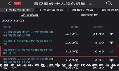 英国首相与冷钱包：数字货币时代的挑战与机遇
