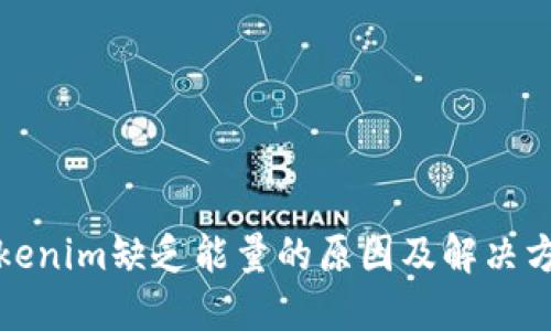Tokenim缺乏能量的原因及解决方案