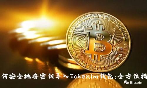 如何安全地将密钥导入Tokenim钱包：全方位指南