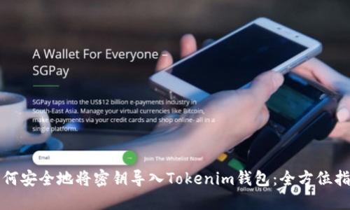 如何安全地将密钥导入Tokenim钱包：全方位指南