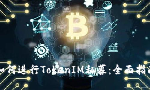如何进行TokenIM私募：全面指南
