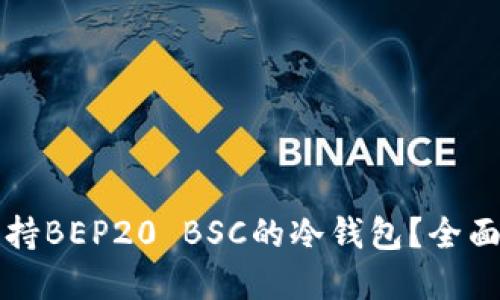 如何选择支持BEP20 BSC的冷钱包？全面指南与推荐