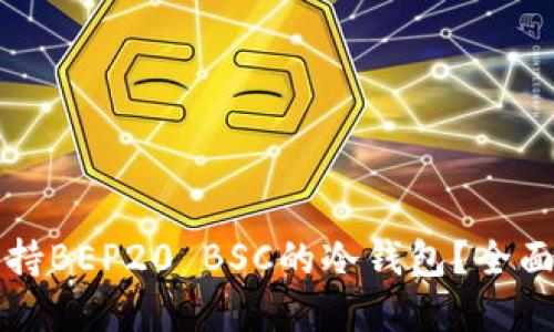 如何选择支持BEP20 BSC的冷钱包？全面指南与推荐