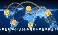 : 冷钱包是哪个U盘？全面