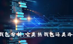 麦子钱包分析：它是热钱包还是冷钱包？