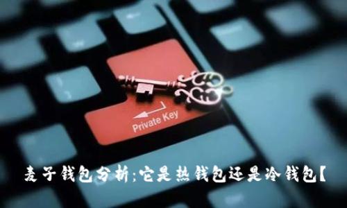 麦子钱包分析：它是热钱包还是冷钱包？