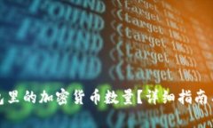 如何查看冷钱包里的加密货币数量？详细指南与