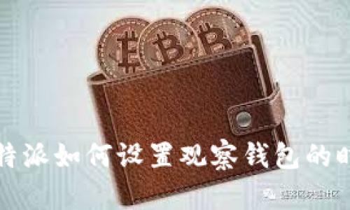 比特派如何设置观察钱包的时间