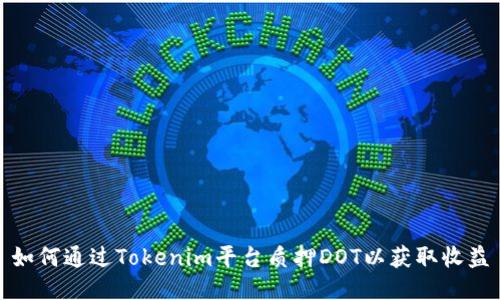 如何通过Tokenim平台质押DOT以获取收益