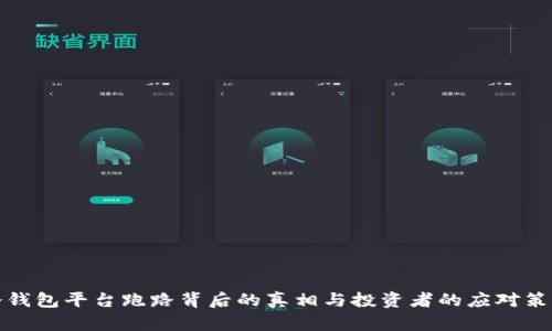 冷钱包平台跑路背后的真相与投资者的应对策略