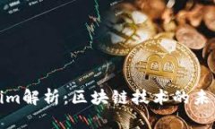 火币网Tokenim解析：区块链