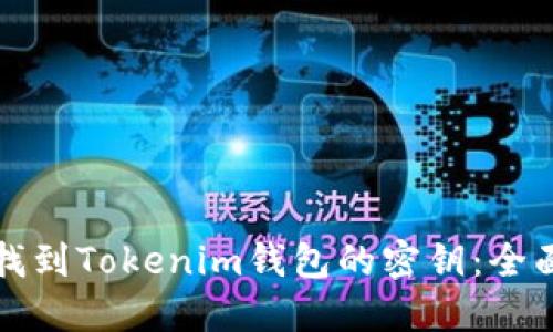 如何找到Tokenim钱包的密钥：全面指南
