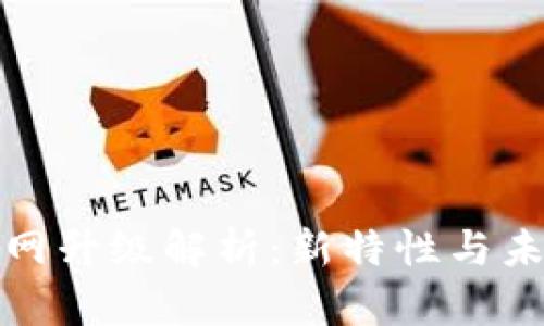 BHD主网升级解析：新特性与未来展望