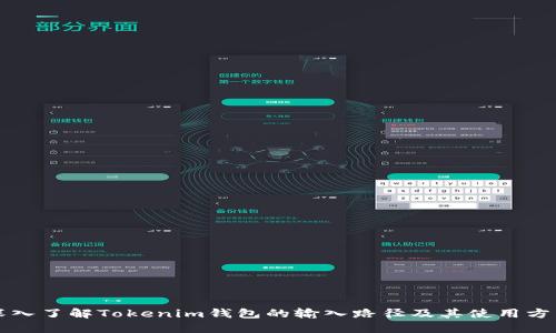 深入了解Tokenim钱包的输入路径及其使用方法
