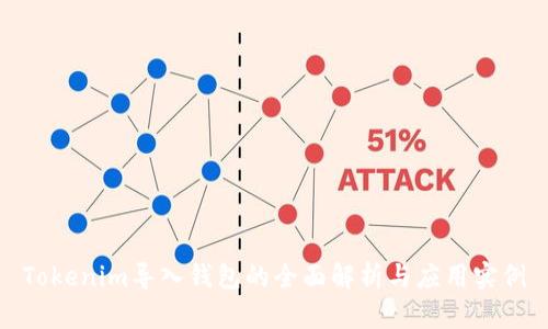Tokenim导入钱包的全面解析与应用实例