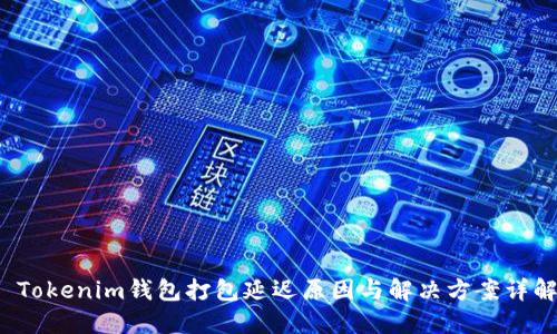  Tokenim钱包打包延迟原因与解决方案详解