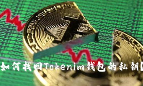 如何找回Tokenim钱包的私钥？