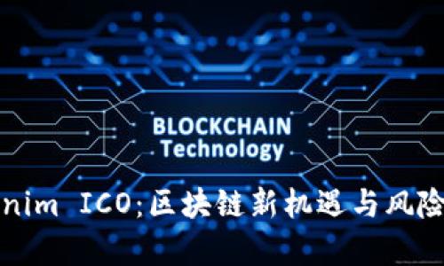 Tokenim ICO：区块链新机遇与风险解析