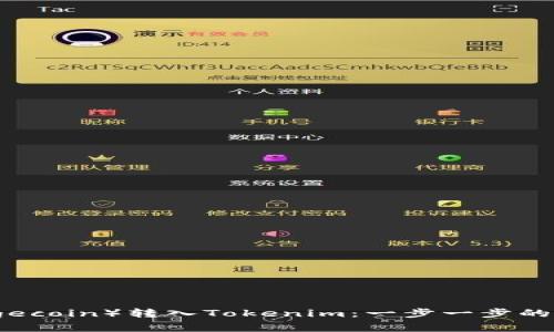 如何将狗币（Dogecoin）转入Tokenim：一步一步的指南与实用技巧