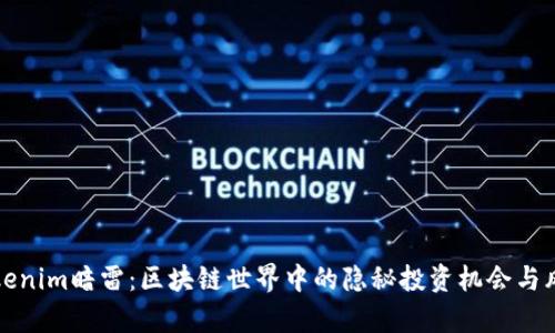 揭秘Tokenim暗雷：区块链世界中的隐秘投资机会与风险分析