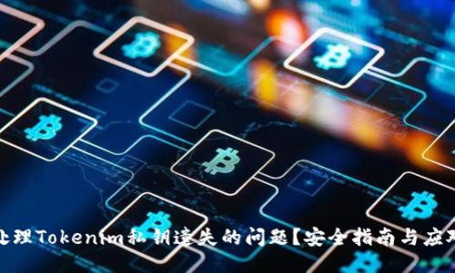 如何处理Tokenim私钥遗失的问题？安全指南与应对措施