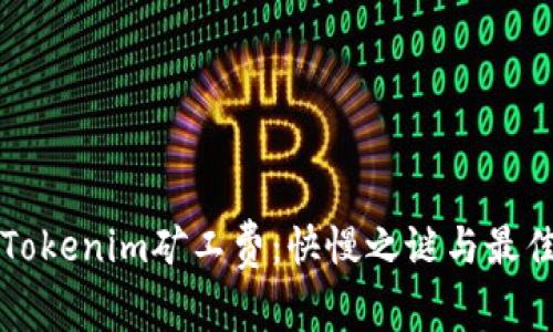 解密Tokenim矿工费：快慢之谜与最佳实践