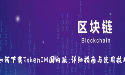 如何下载TokenIM国内版：详细指南与使用技巧