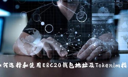 如何选择和使用ERC20钱包地址及Tokenim指南