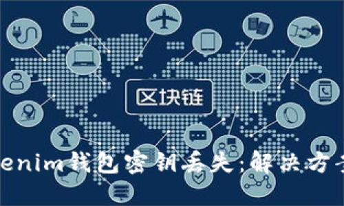 如何应对Tokenim钱包密钥丢失：解决方案与预防措施