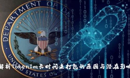 解析TokenIm长时间未打包的原因与潜在影响