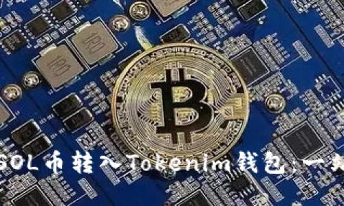 如何将SOL币转入Tokenim钱包：一站式指南
