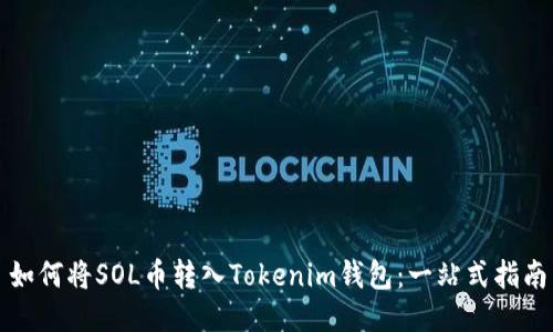 如何将SOL币转入Tokenim钱包：一站式指南
