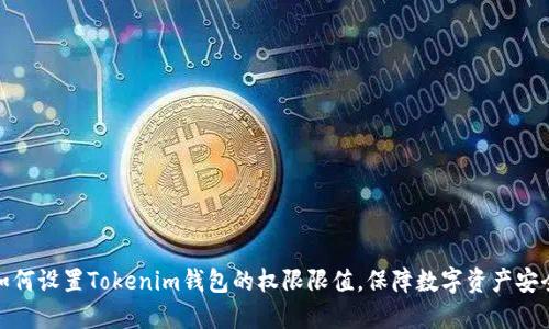 如何设置Tokenim钱包的权限限值，保障数字资产安全