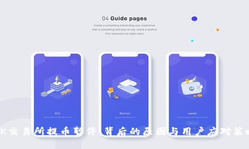 OK交易所提币暂停：背后的原因与用户应对策略