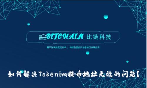 如何解决Tokenim提币地址无效的问题？