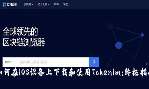 如何在iOS设备上下载和使用Tokenim：终极指南