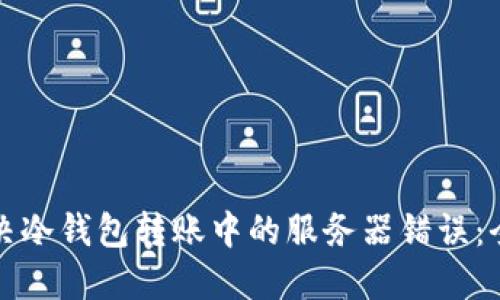 如何解决冷钱包转账中的服务器错误：全面指南