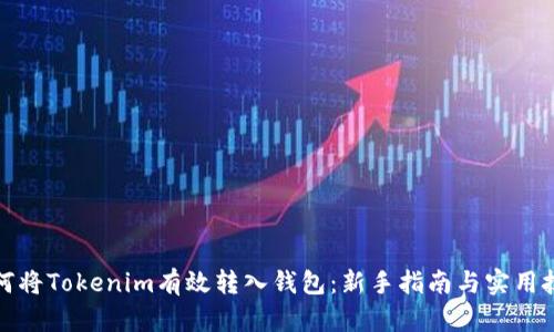 如何将Tokenim有效转入钱包：新手指南与实用技巧