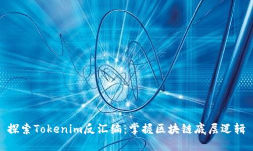 探索Tokenim反汇编：掌握区块链底层逻辑