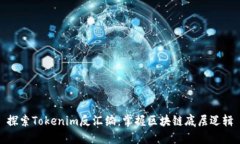 探索Tokenim反汇编：掌握区