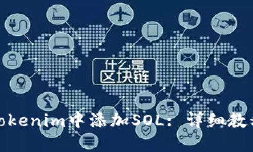 如何在Tokenim中添加SOL: 详细教程与建议