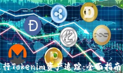 
如何有效进行Tokenim资产追踪：全面指南与实用技巧
