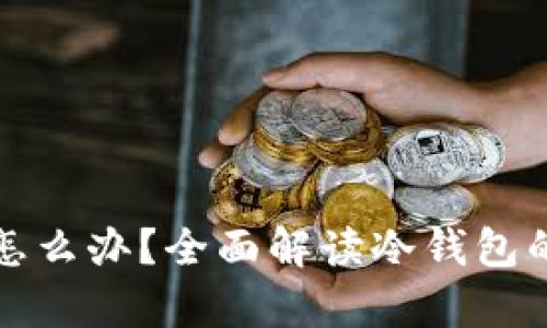 冷钱包密码遗忘怎么办？全面解读冷钱包的恢复与管理技巧
