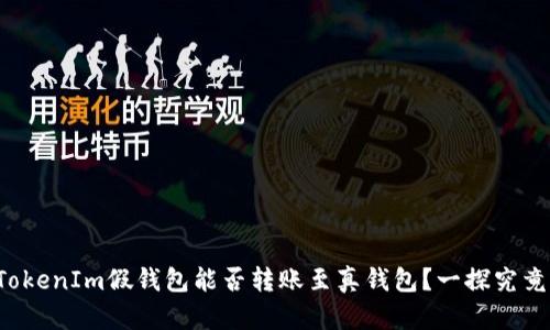 TokenIm假钱包能否转账至真钱包？一探究竟！