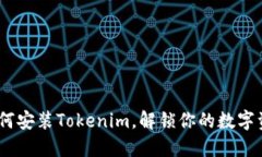 详细指南：如何安装Toke