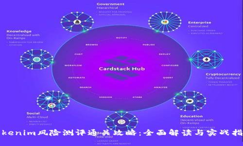 Tokenim风险测评通关攻略：全面解读与实战指南